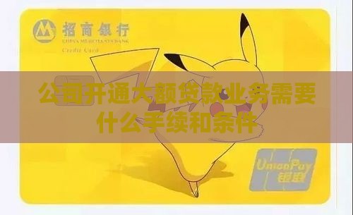 公司开通大额贷款业务