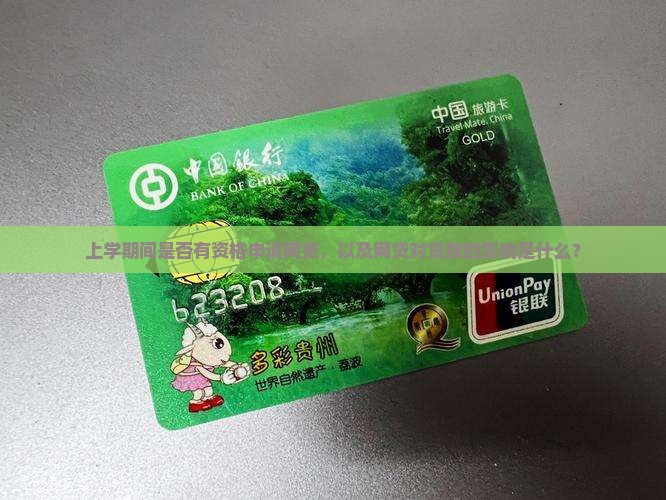上学期间是否有资格申请网贷，以及网贷对贷款的影响是什么？