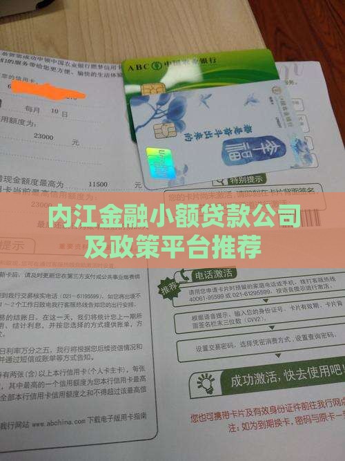 内江金融小额贷款公司及政策平台推荐 内江金融小额贷款公司及政策平台推荐