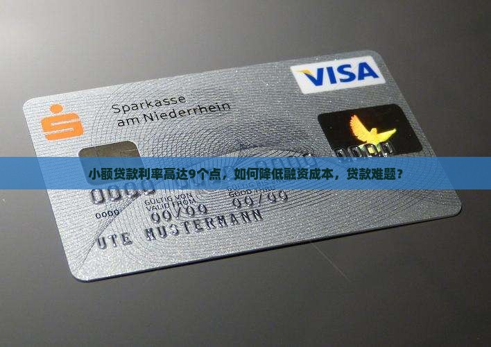 小额贷款利率高达9个点，如何降低融资成本，贷款难题？