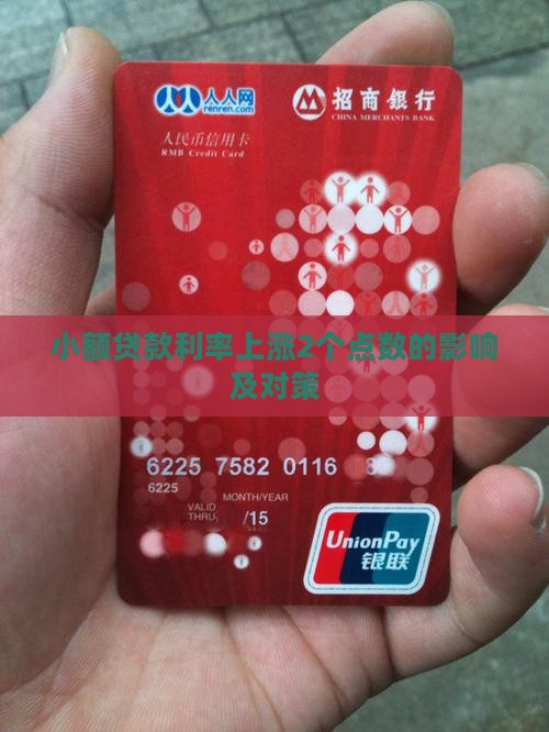 小额贷款利率上涨2个点数的影响及对策