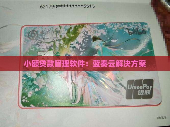 小额贷款管理软件：蓝奏云解决方案