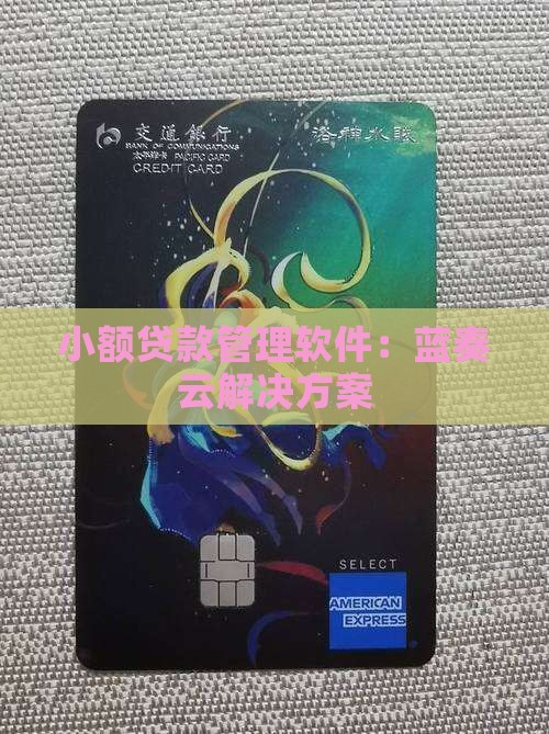 小额贷款管理软件：蓝奏云解决方案