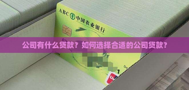 公司有什么贷款？如何选择合适的公司贷款？