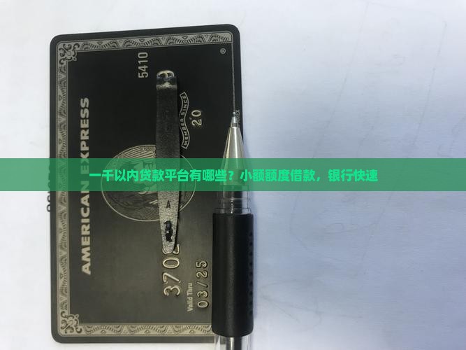 一千以内贷款平台有哪些？小额额度借款，银行快速