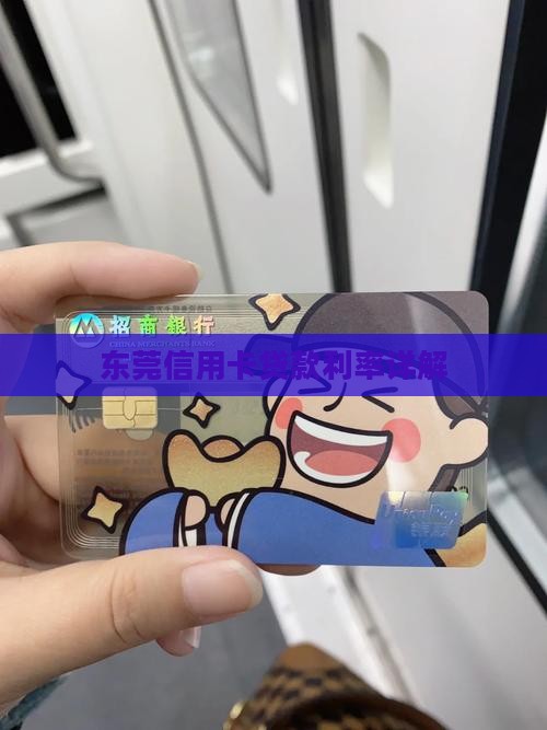 东莞信用卡贷款利率详解