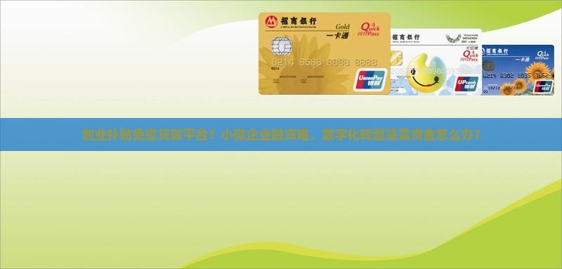 创业补贴免息贷款平台？小微企业融资难、数字化转型急需资金怎么办？