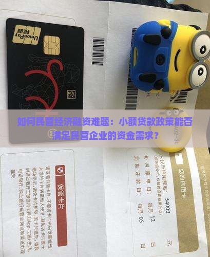 如何民营经济融资难题：小额贷款政策能否满足民营企业的资金需求？