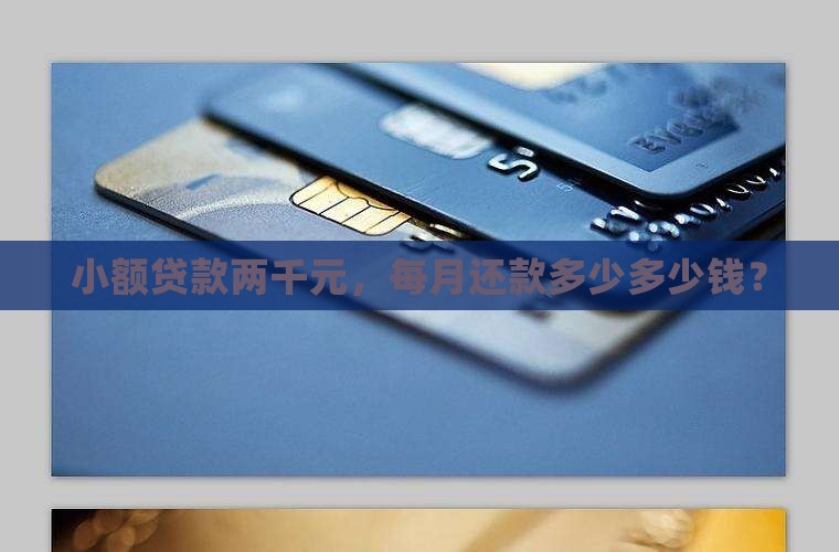 小额贷款两千元，每月还款多少多少钱？