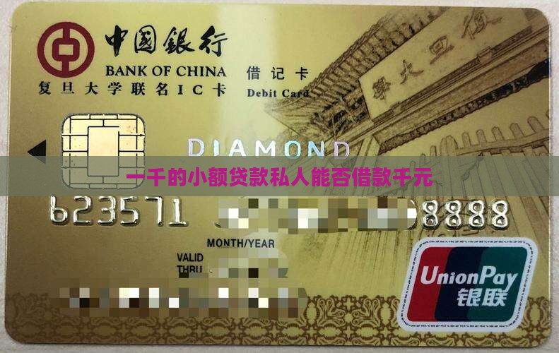 一千的小额贷款私人能否借款千元