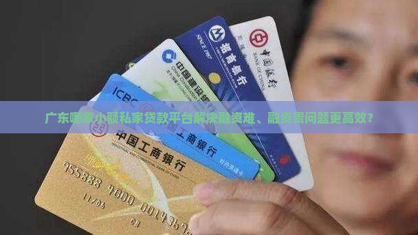广东哪家小额私家贷款平台解决融资难、融资贵问题更高效？