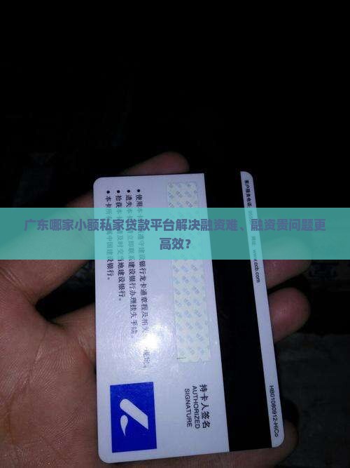 广东哪家小额私家贷款平台解决融资难、融资贵问题更高效？