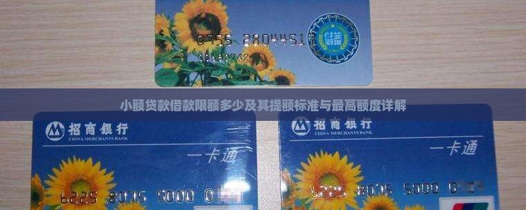 小额贷款借款限额多少及其提额标准与最高额度详解