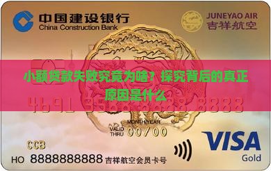 小额贷款失败究竟为啥？探究背后的真正原因是什么