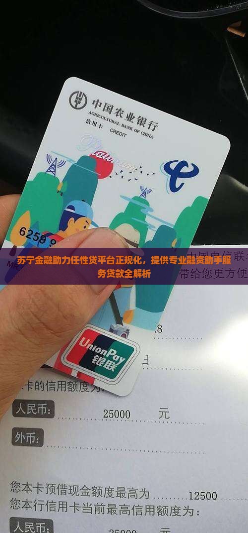 苏宁金融助力任性贷平台正规化，提供专业融资助手服务贷款全解析