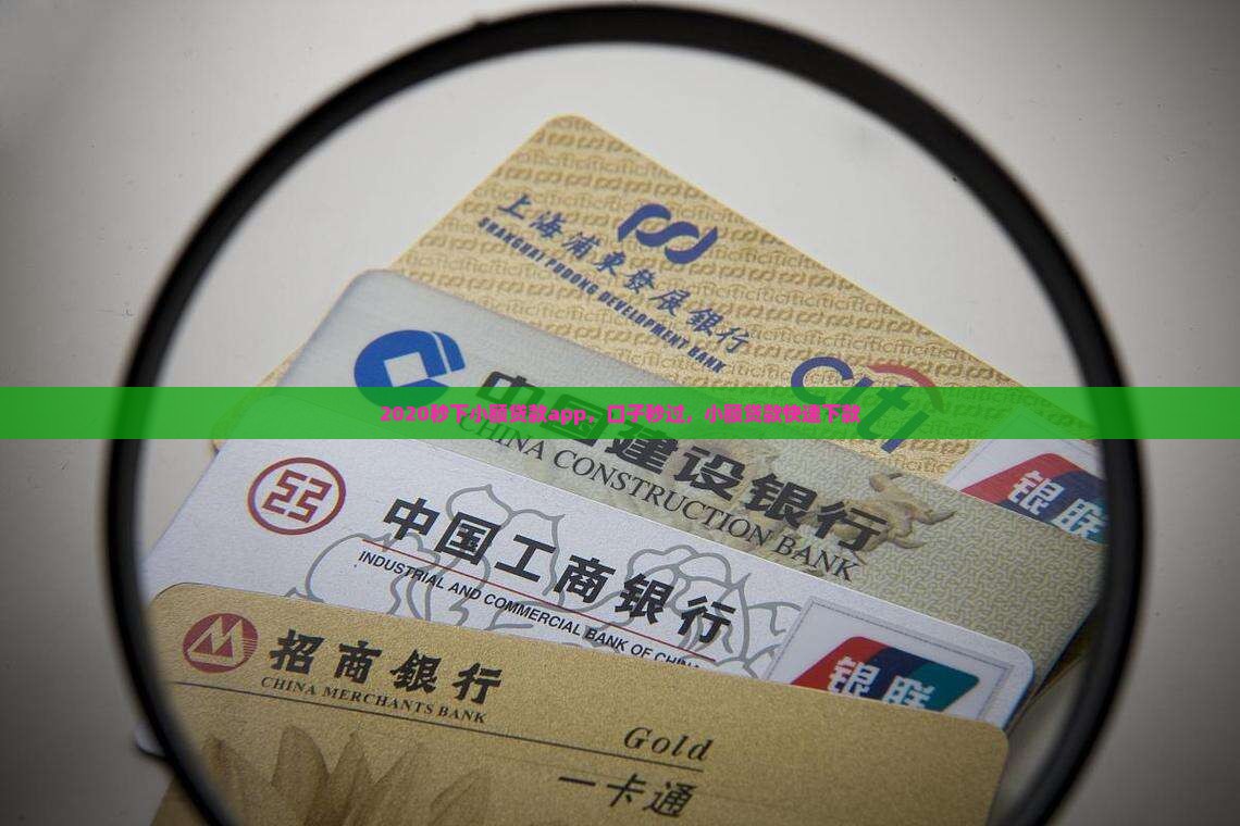 2020秒下小额贷款app，口子秒过，小额贷款快速下款