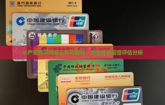 小产贷款平台怎么样可靠吗：安全性与信誉评估分析
