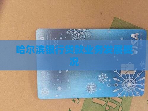 哈尔滨银行贷款业务发展概况