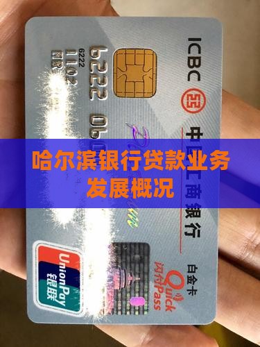 哈尔滨银行贷款业务发展概况