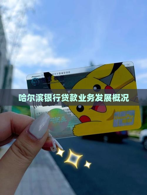 哈尔滨银行贷款业务发展概况