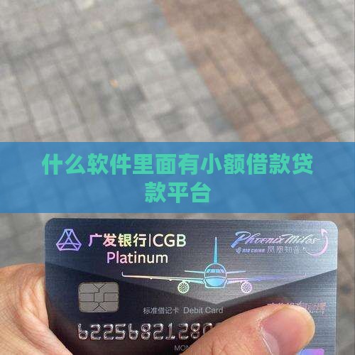 什么软件里面有小额借款贷款平台
