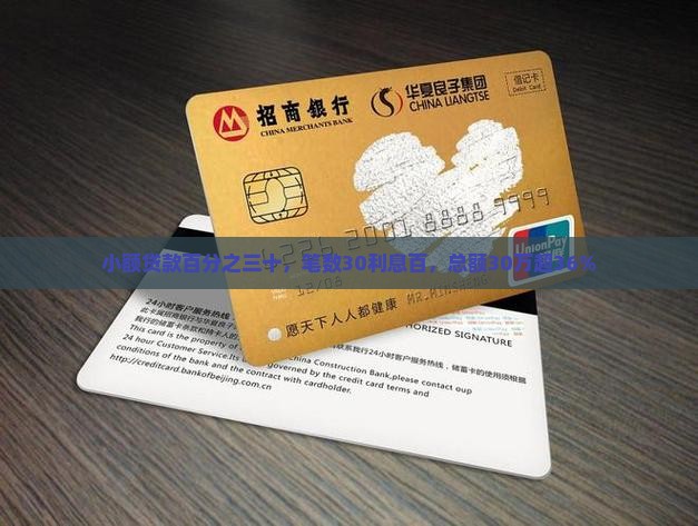 小额贷款百分之三十，笔数30利息百，总额30万超36%