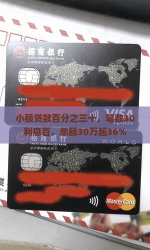 小额贷款百分之三十，笔数30利息百，总额30万超36%