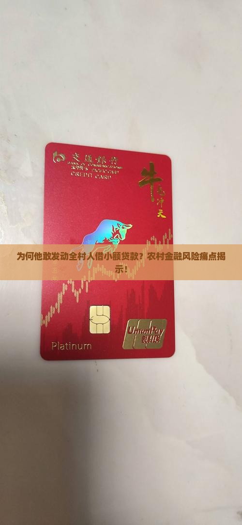 为何他敢发动全村人借小额贷款？农村金融风险痛点揭示！