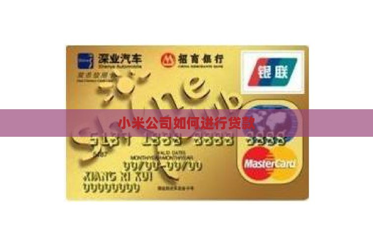 小米公司如何进行贷款