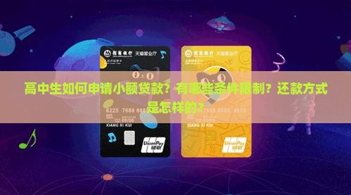 高中生如何申请小额贷款？有哪些条件限制？还款方式是怎样的？