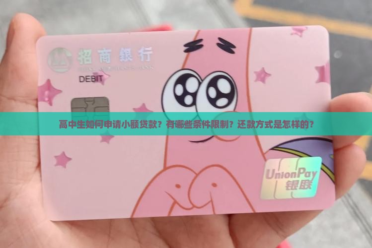 高中生如何申请小额贷款？有哪些条件限制？还款方式是怎样的？