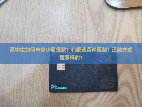 高中生如何申请小额贷款？有哪些条件限制？还款方式是怎样的？
