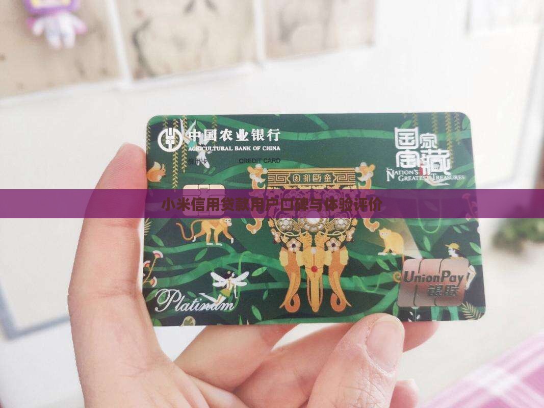 小米信用贷款用户口碑与体验评价