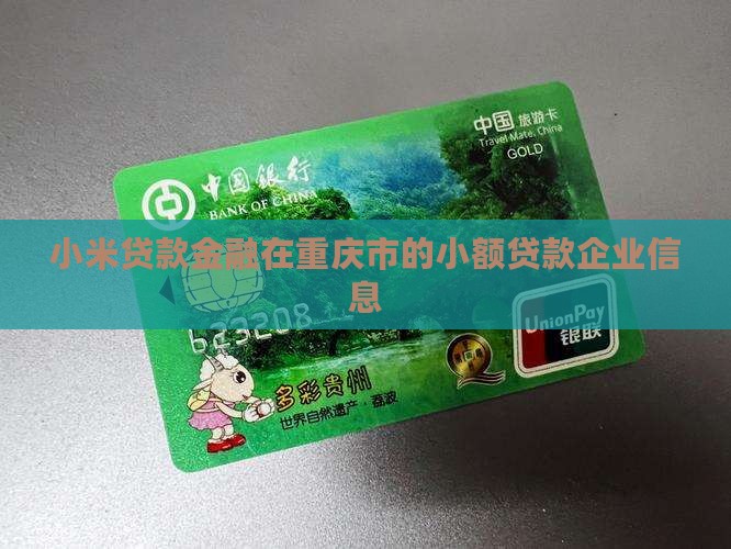 小米贷款金融在重庆市的小额贷款企业信息