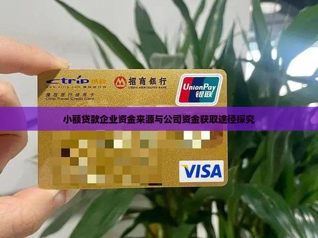 小额贷款企业资金来源与公司资金获取途径探究
