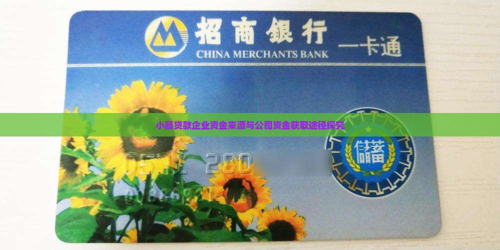小额贷款企业资金来源与公司资金获取途径探究