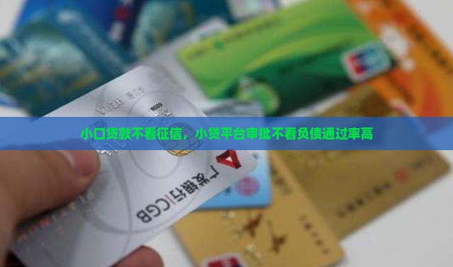 小口贷款不看征信，小贷平台审批不看负债通过率高