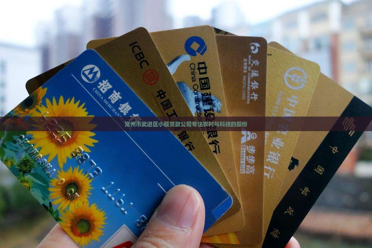常州市武进区小额贷款公司专注农村与科技的股份