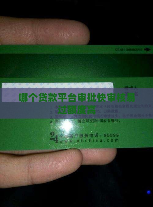 哪个贷款平台审批快审核易过额度高