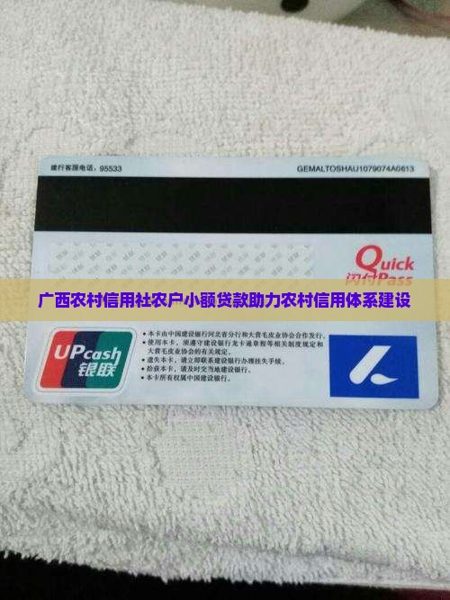 广西农村信用社农户小额贷款助力农村信用体系建设