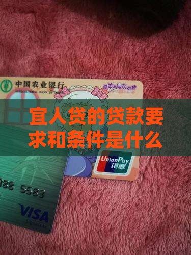 宜人贷的贷款要求和条件是什么