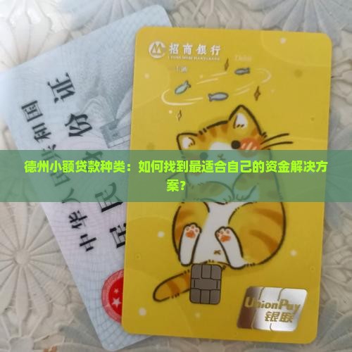 德州小额贷款种类：如何找到最适合自己的资金解决方案？