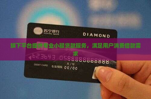 旗下平台提供专业小额贷款服务，满足用户消费借款需求