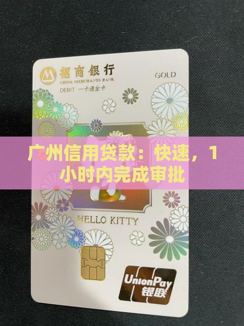 广州信用贷款：快速，1小时内完成审批