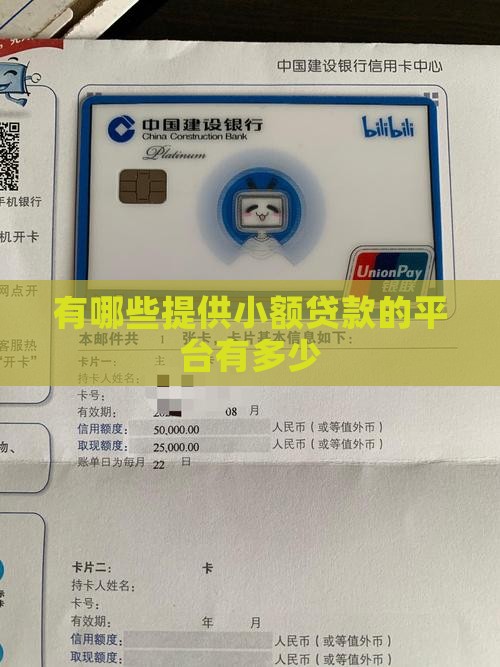 有哪些提供小额贷款的平台有多少
