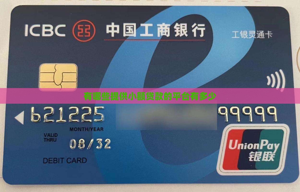 有哪些提供小额贷款的平台有多少