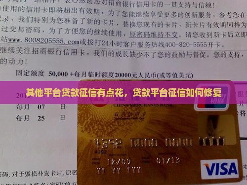 其他平台贷款征信有点花，贷款平台征信如何修复