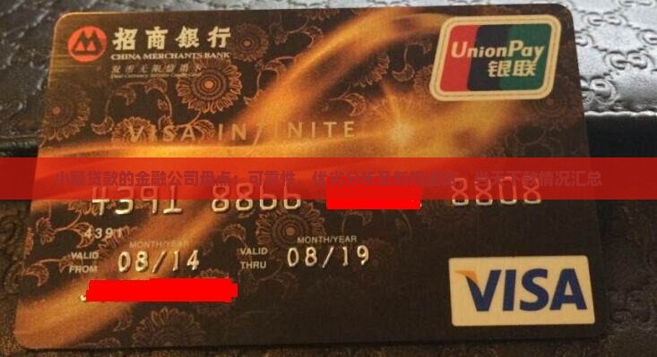 小额贷款的金融公司盘点：可靠性、优劣分析及新规速览，当天下款情况汇总