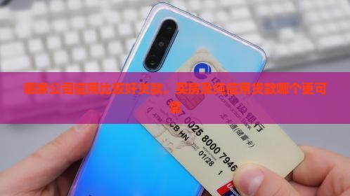 哪家公司信用比较好贷款，买房及纯信用贷款哪个更可靠
