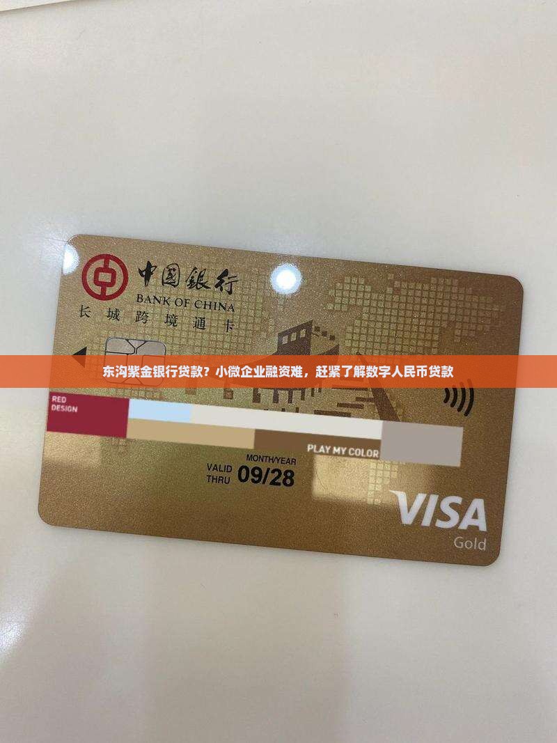 东沟紫金银行贷款？小微企业融资难，赶紧了解数字人民币贷款